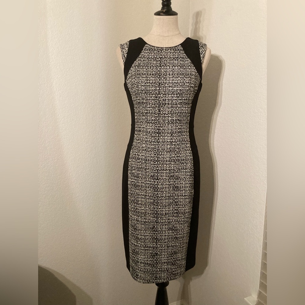 White House | Black Market Sleeveless Dress (4)
